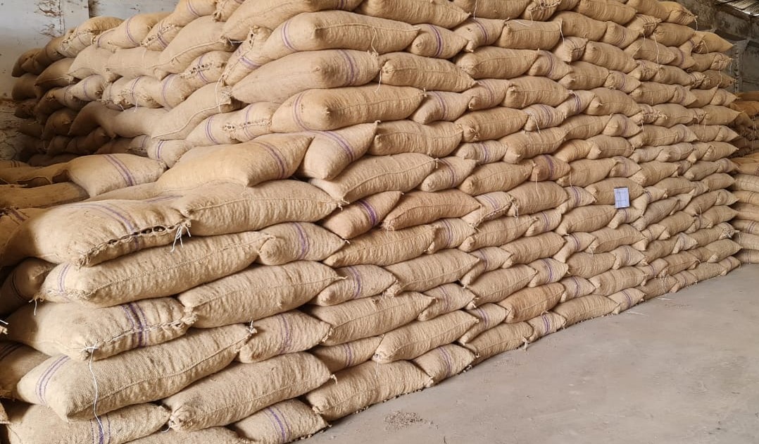 Warehousing ivc raw cashews 1